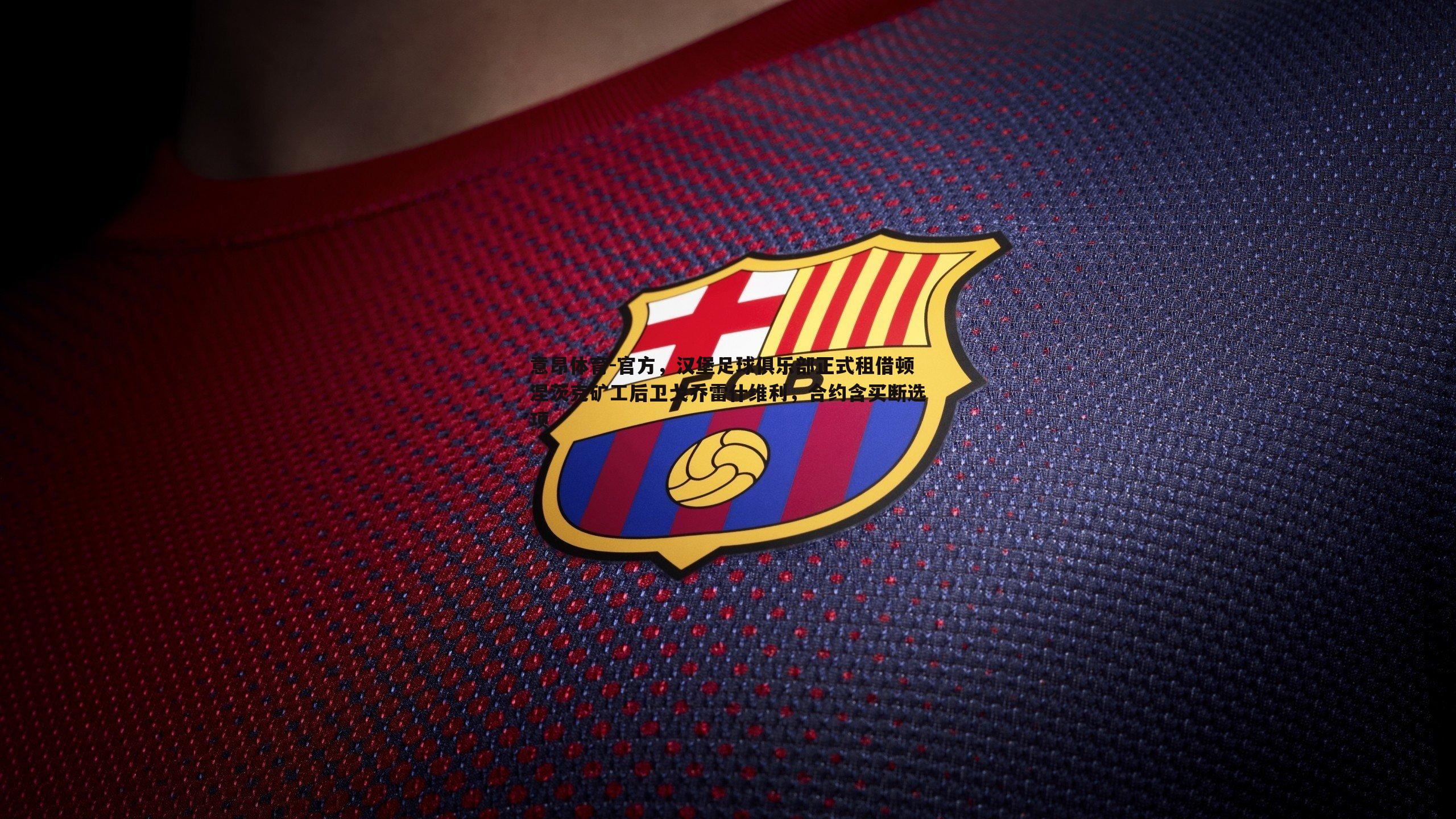 意昂体育-官方，汉堡足球俱乐部正式租借顿涅茨克矿工后卫戈乔雷什维利，合约含买断选项